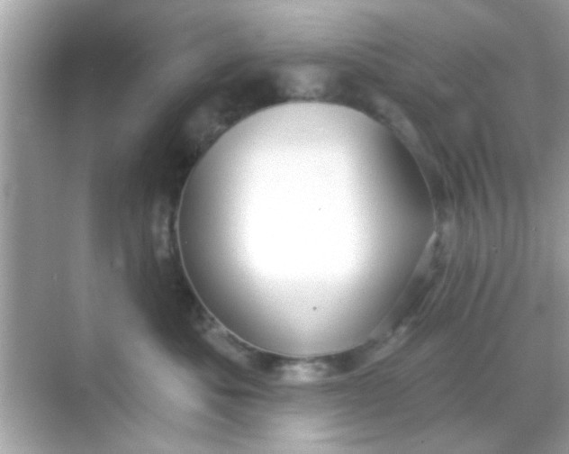 X0000068290525200605051910
