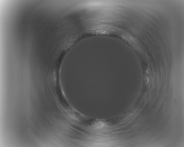 X0000068290551200605051910