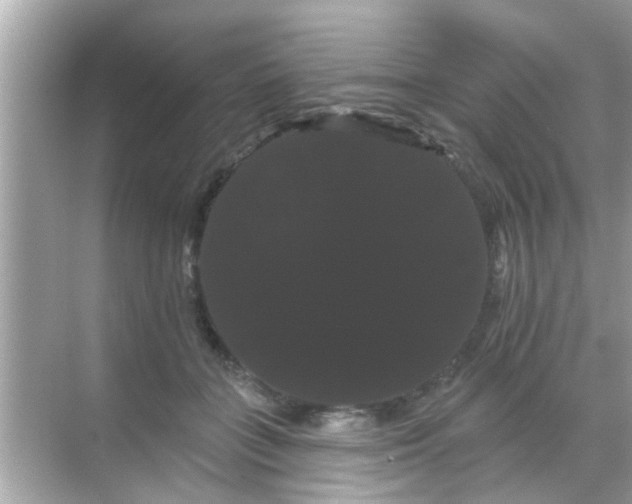 X0000068290555200605051910