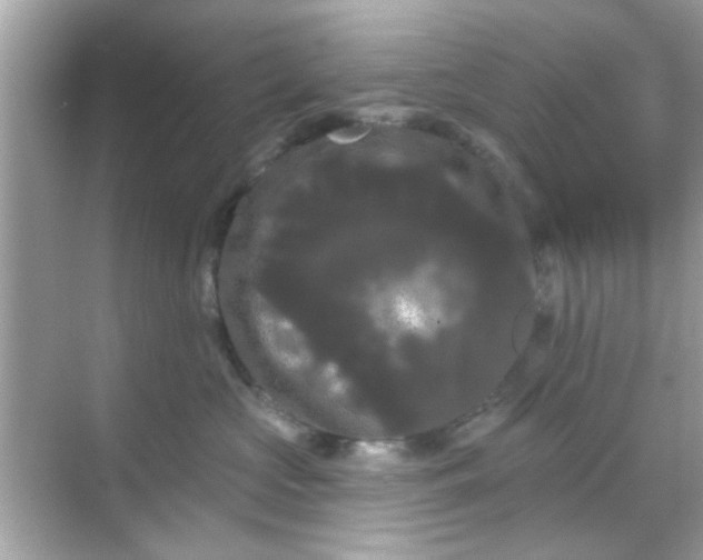 X0000068290573200605051910