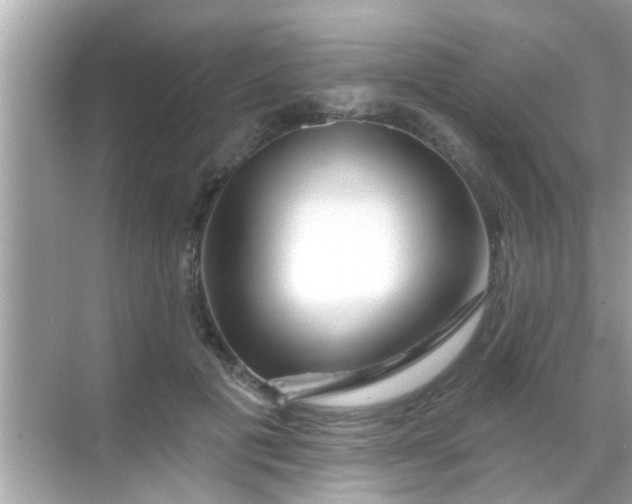 X0000068290601200605051909