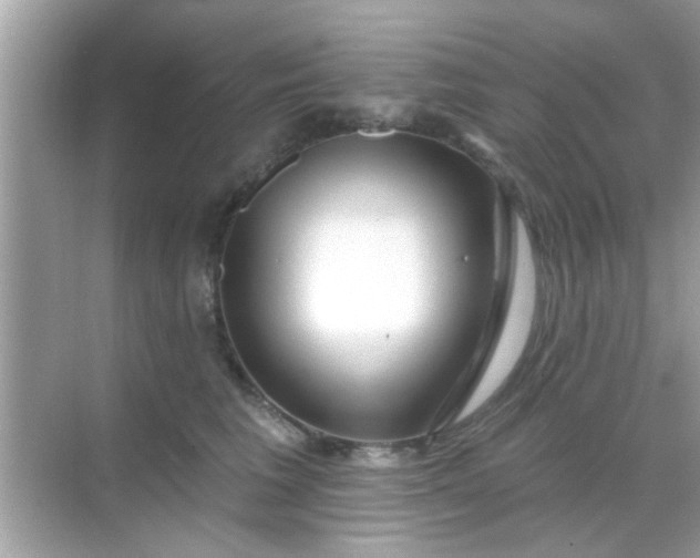 X0000068290613200605051909