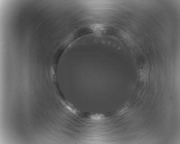 X0000068290618200605051909