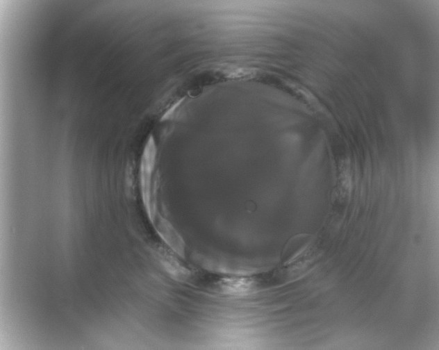 X0000068290667200605051909