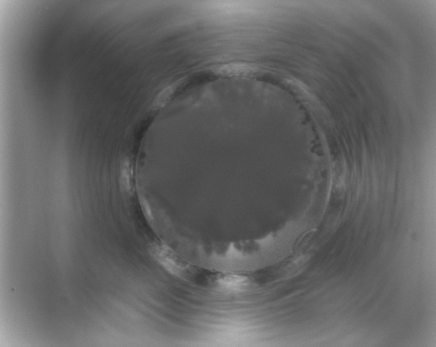 X0000068290669200605051909