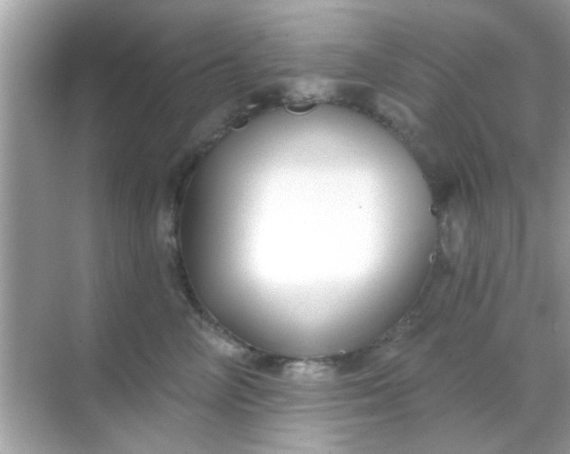 X0000068290714200605051907