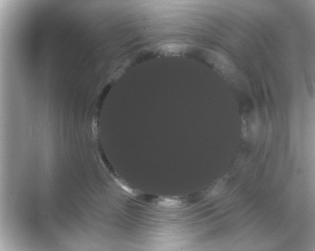 X0000068290718200605051907