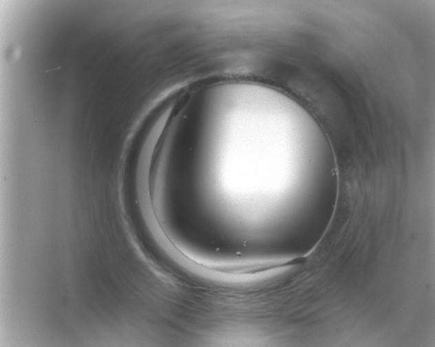 X0000068290728200605051906