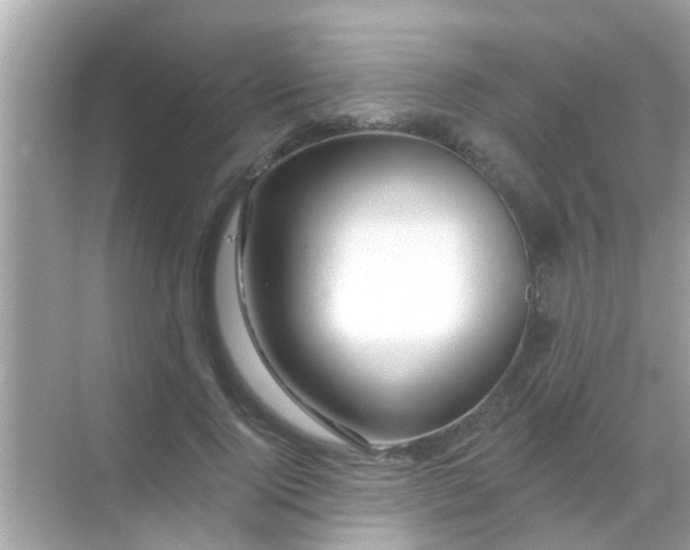 X0000068290740200605051907