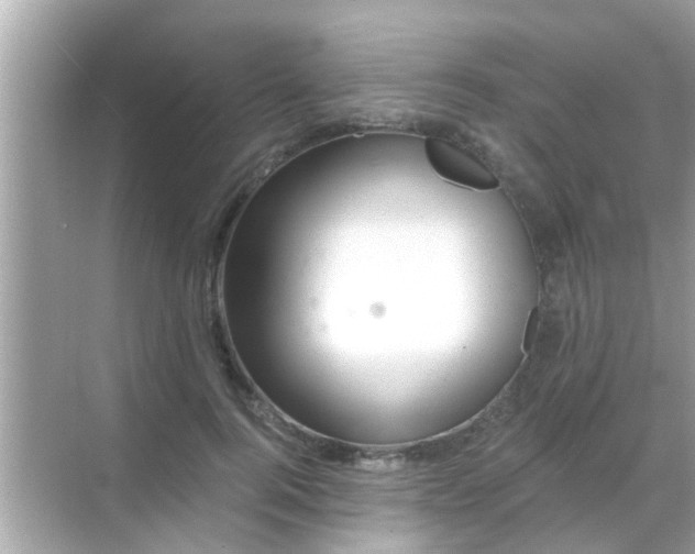 X0000068290744200605051907