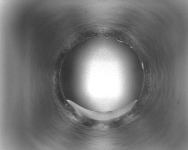 X0000068290750200605051907