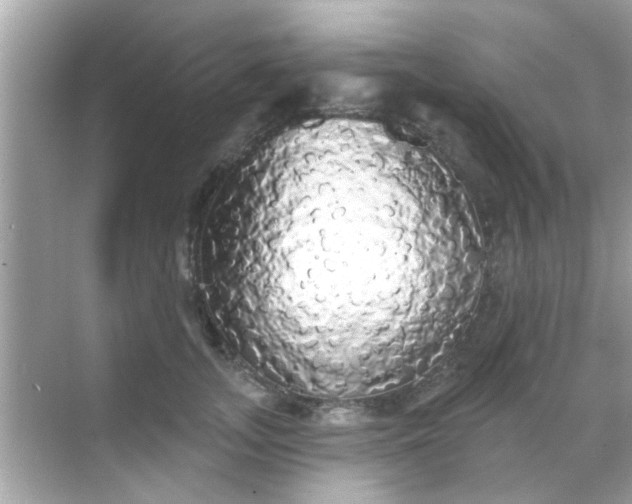 X0000068290755200605051907