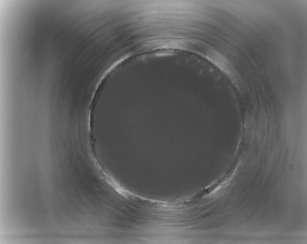 X0000068290790200605051906