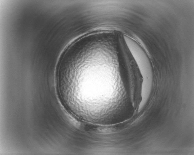 X0000068290795200605051906