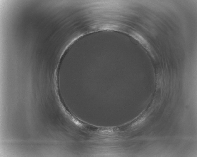 X0000068290798200605051906