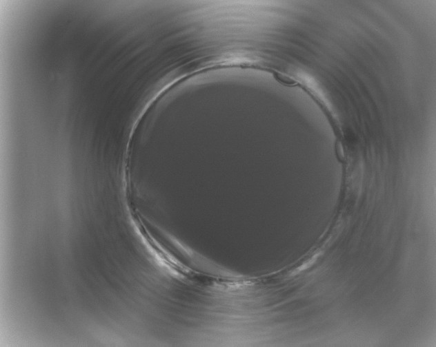 X0000068290810200605051906