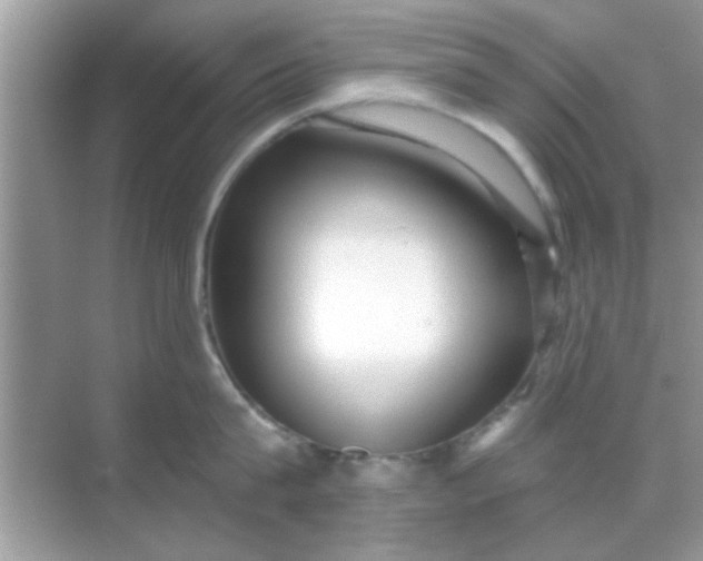X0000068290815200605051905