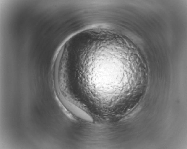 X0000068290816200605051905