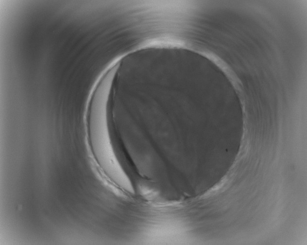 X0000068290864200605051905