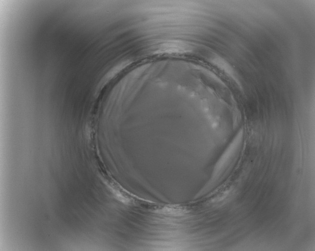 X0000068290874200605051904