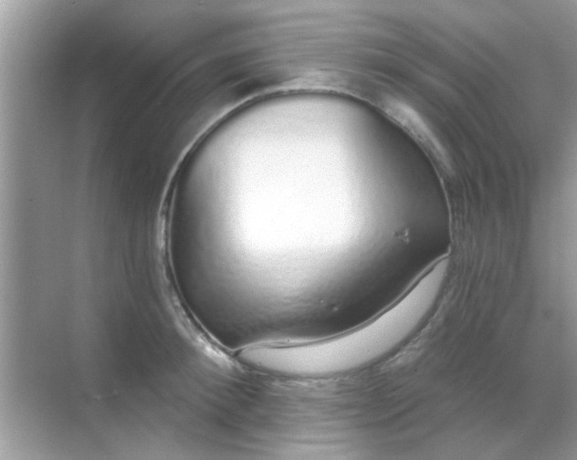 X0000068290900200605051904