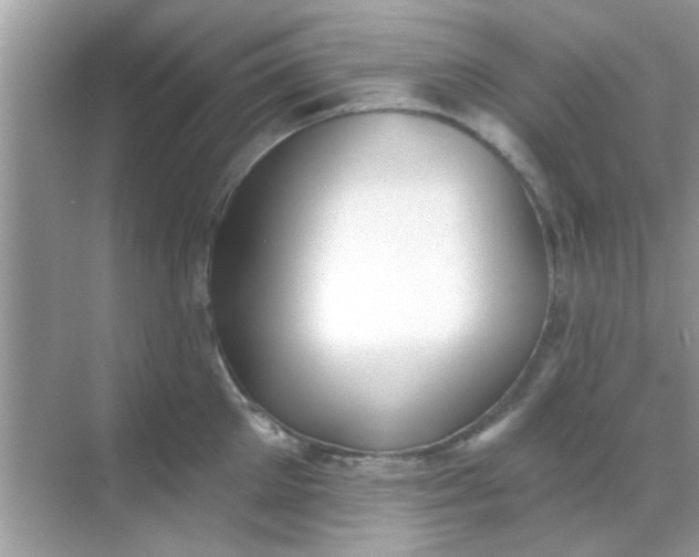 X0000068290905200605051904