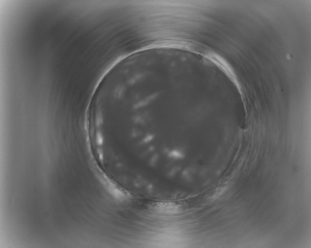 X0000068290907200605051904