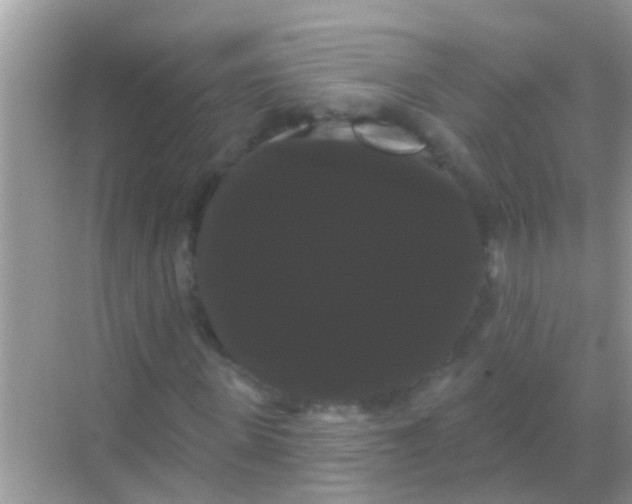X0000068290915200605051903