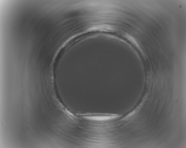 X0000068290923200605051903