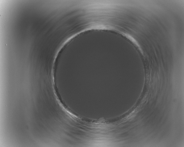 X0000068290935200605051903