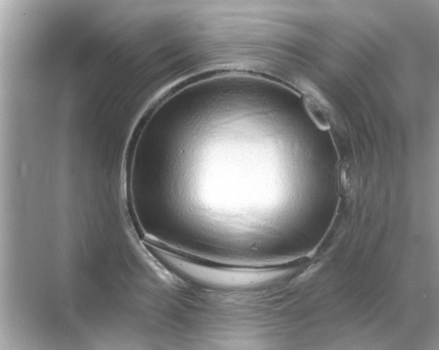 X0000068290940200605051903