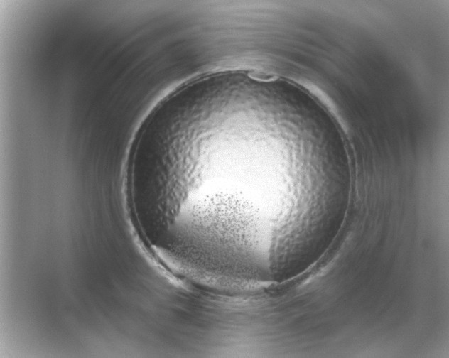 X0000068290949200605051904