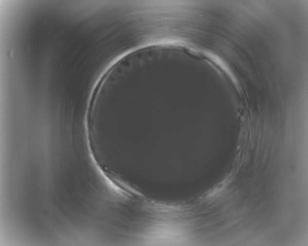 X0000068290959200605051904