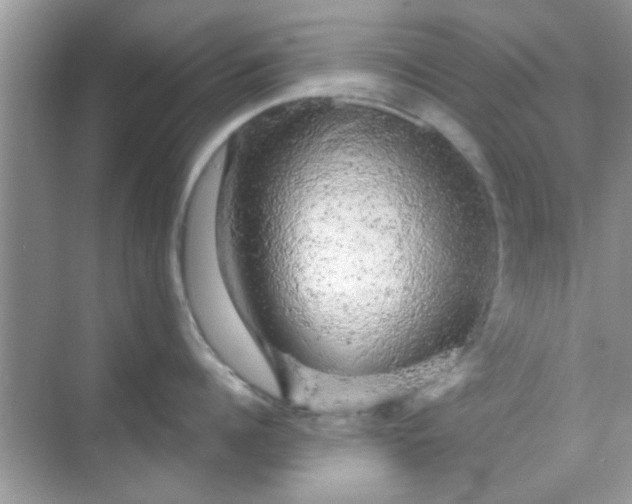 X0000068290960200605051904