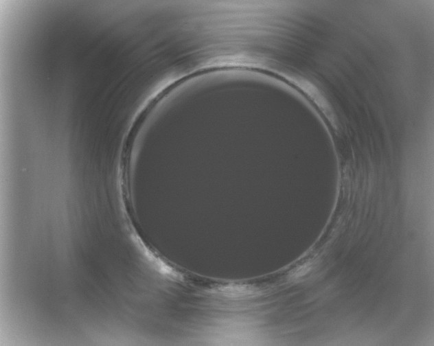 X0000068290998200605051902