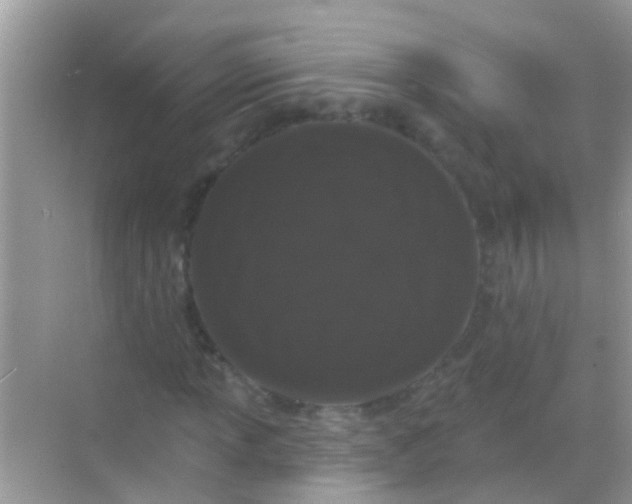 X0000068291013200605051901