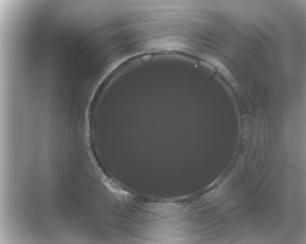 X0000068291031200605051902