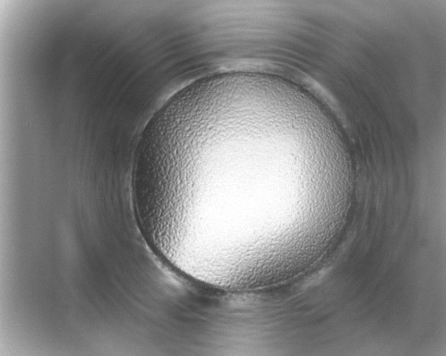 X0000068291041200605051902