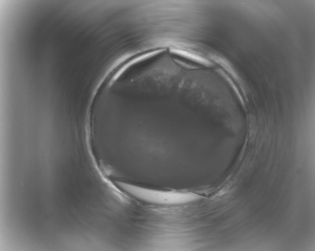 X0000068291048200605051902