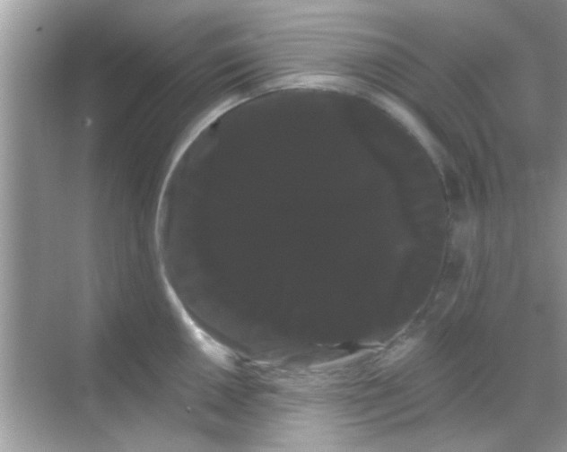X0000068291050200605051902