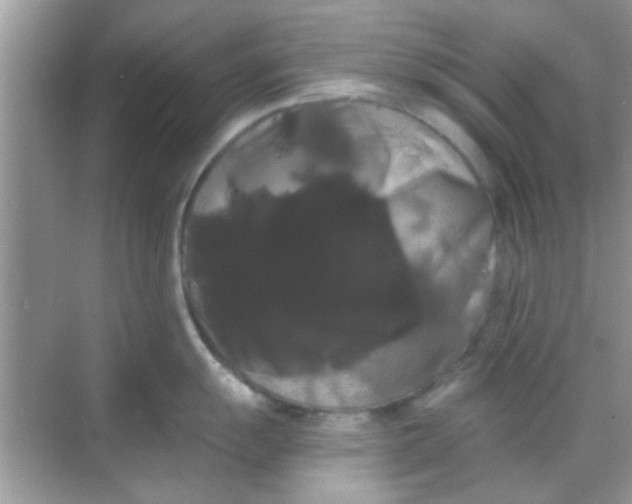 X0000068291055200605051902