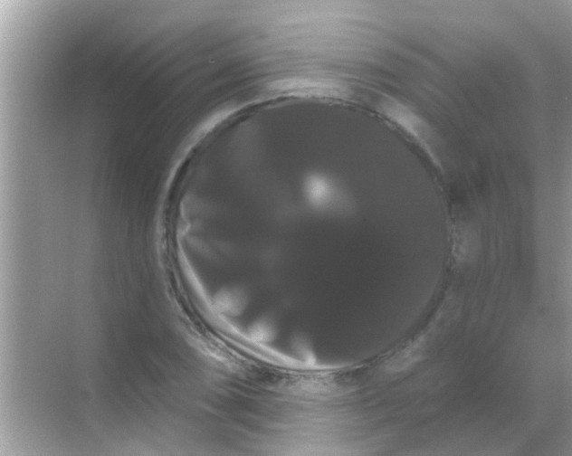 X0000068291074200605051901