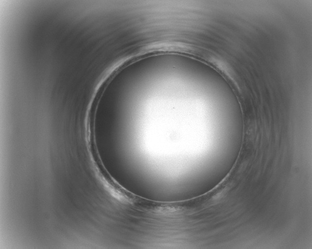 X0000068291082200605051901
