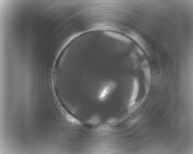 X0000068291094200605051901