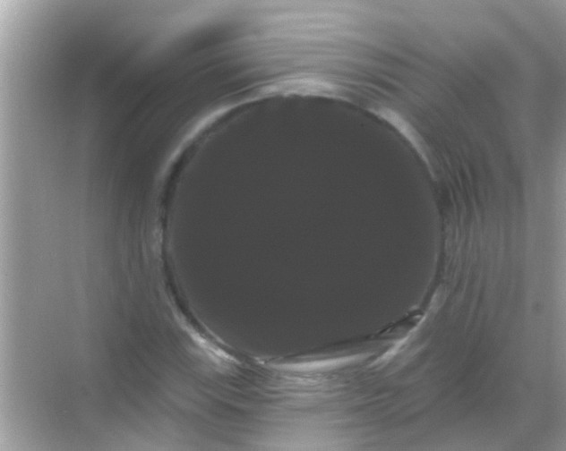 X0000068291115200605051900