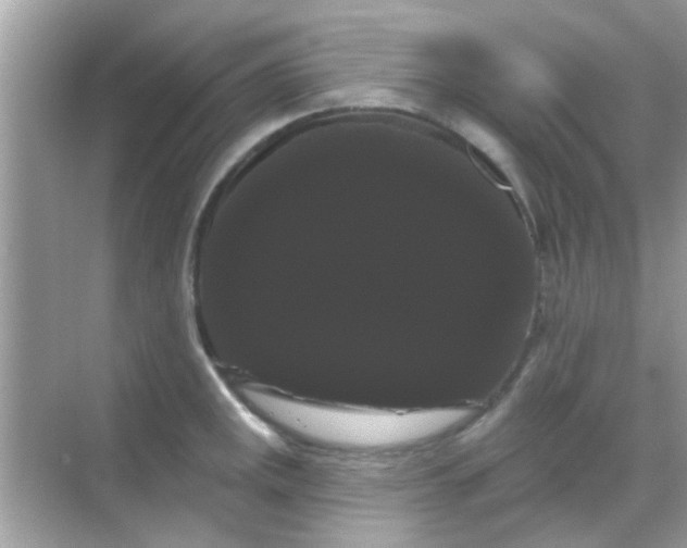 X0000068291141200605051900