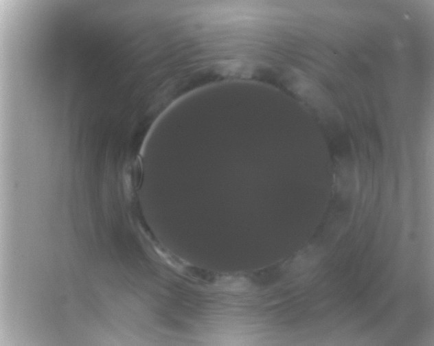 X0000068291154200605051900