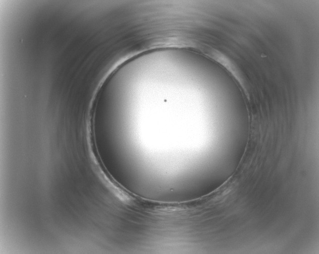 X0000068291187200605051859