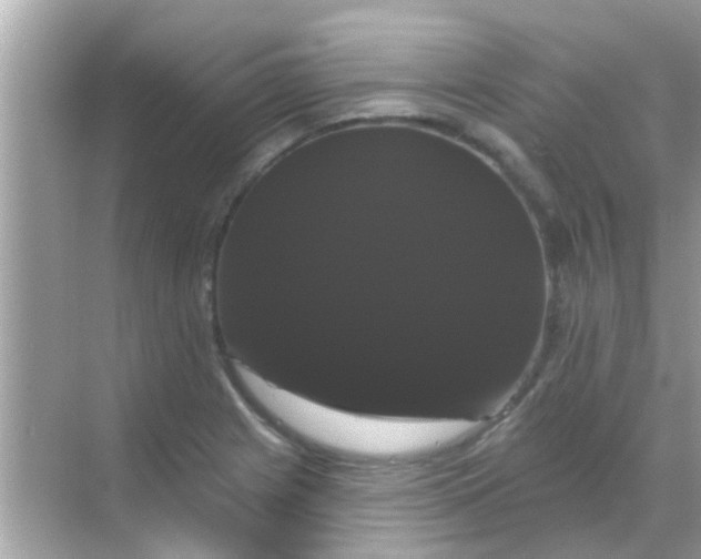X0000068291225200605051859