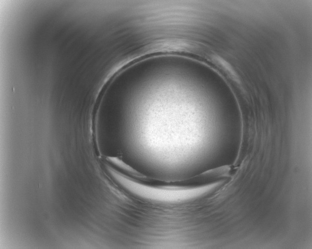 X0000068291226200605051859
